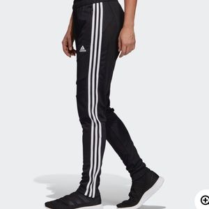 Adidas TIRO 19 Training Pants